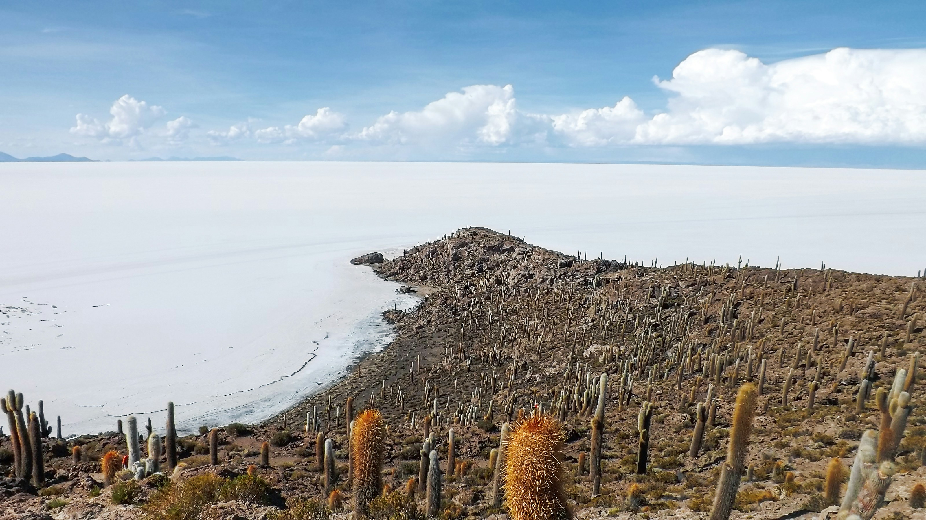 Kaa-Iya del Gran Chaco, Bolivia - None