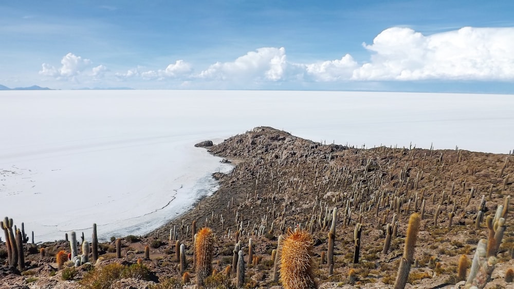 a large body of water surrounded by a desert