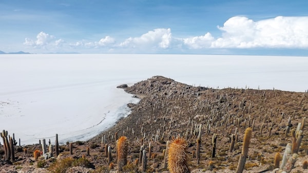 Explore the Northern section of the Salt Flats
