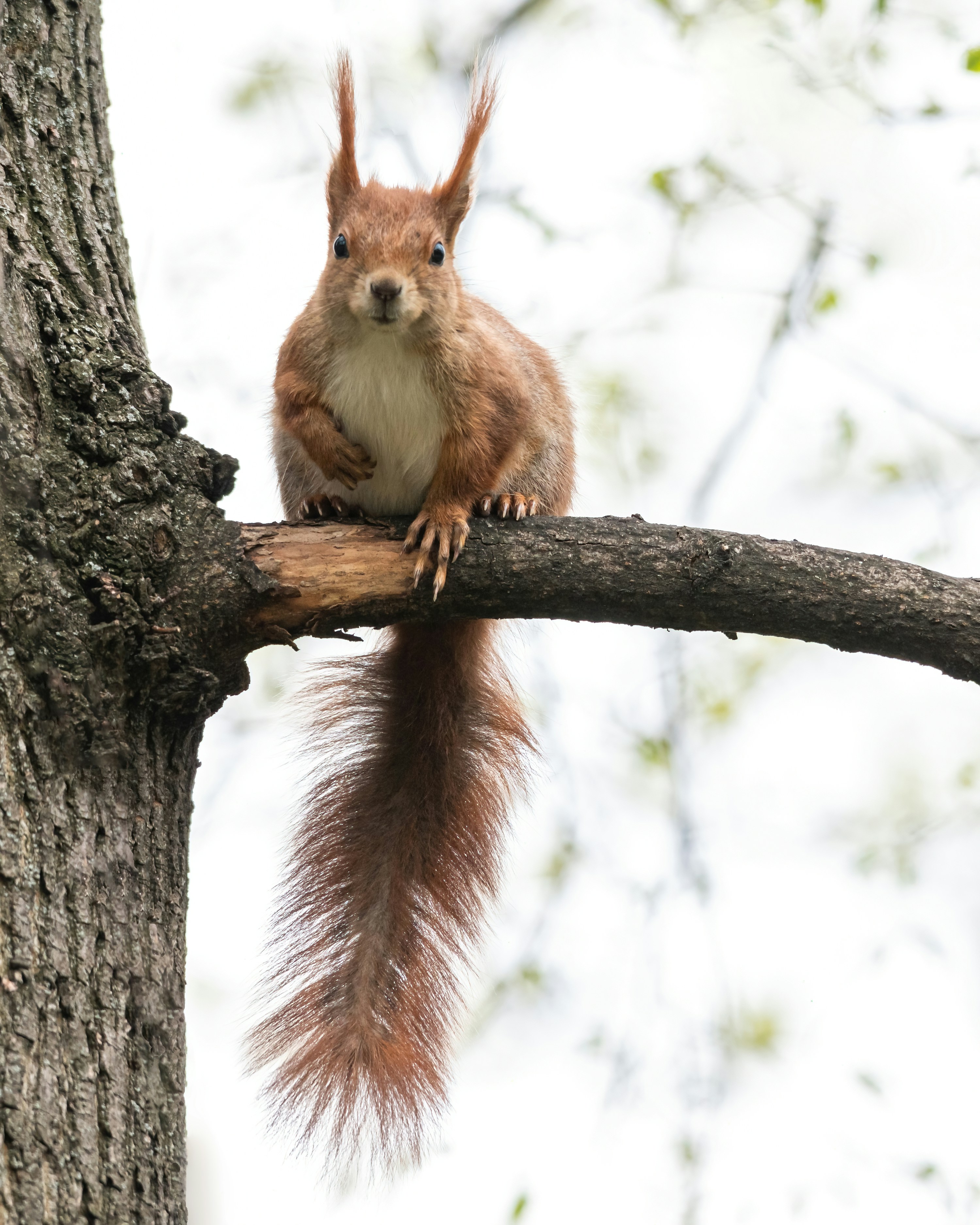 Photo by carrie_borden