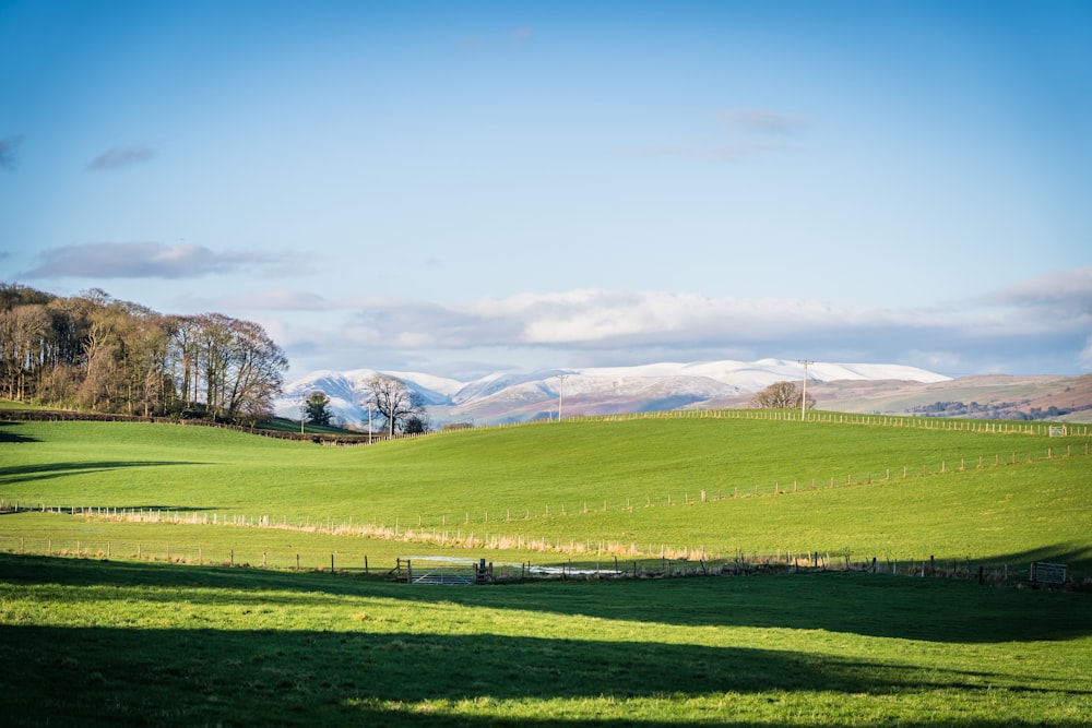 a green field with mountains in the background