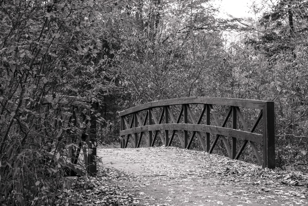 a black and white photo of a bridge in the woods