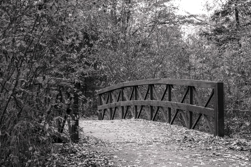 Ein Schwarz-Weiß-Foto einer Brücke im Wald