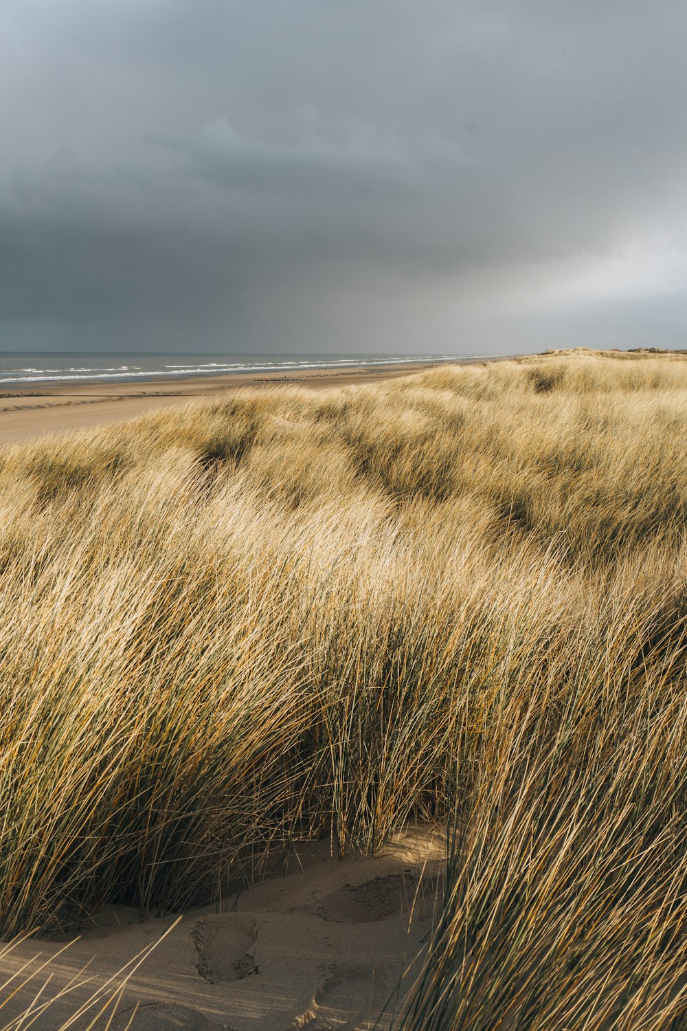 a field of grass with storm clouds in the background