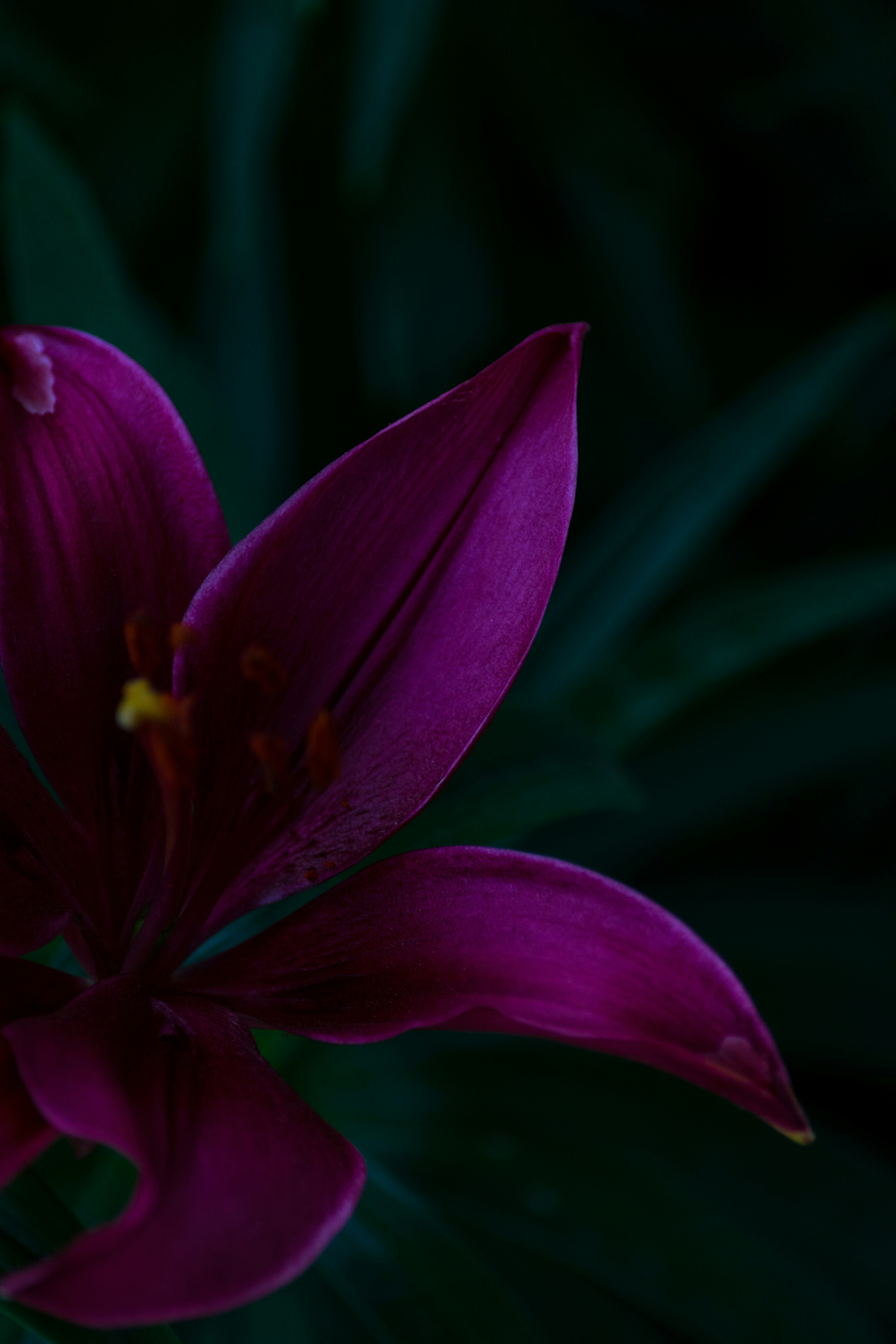 Photo by cacciahands