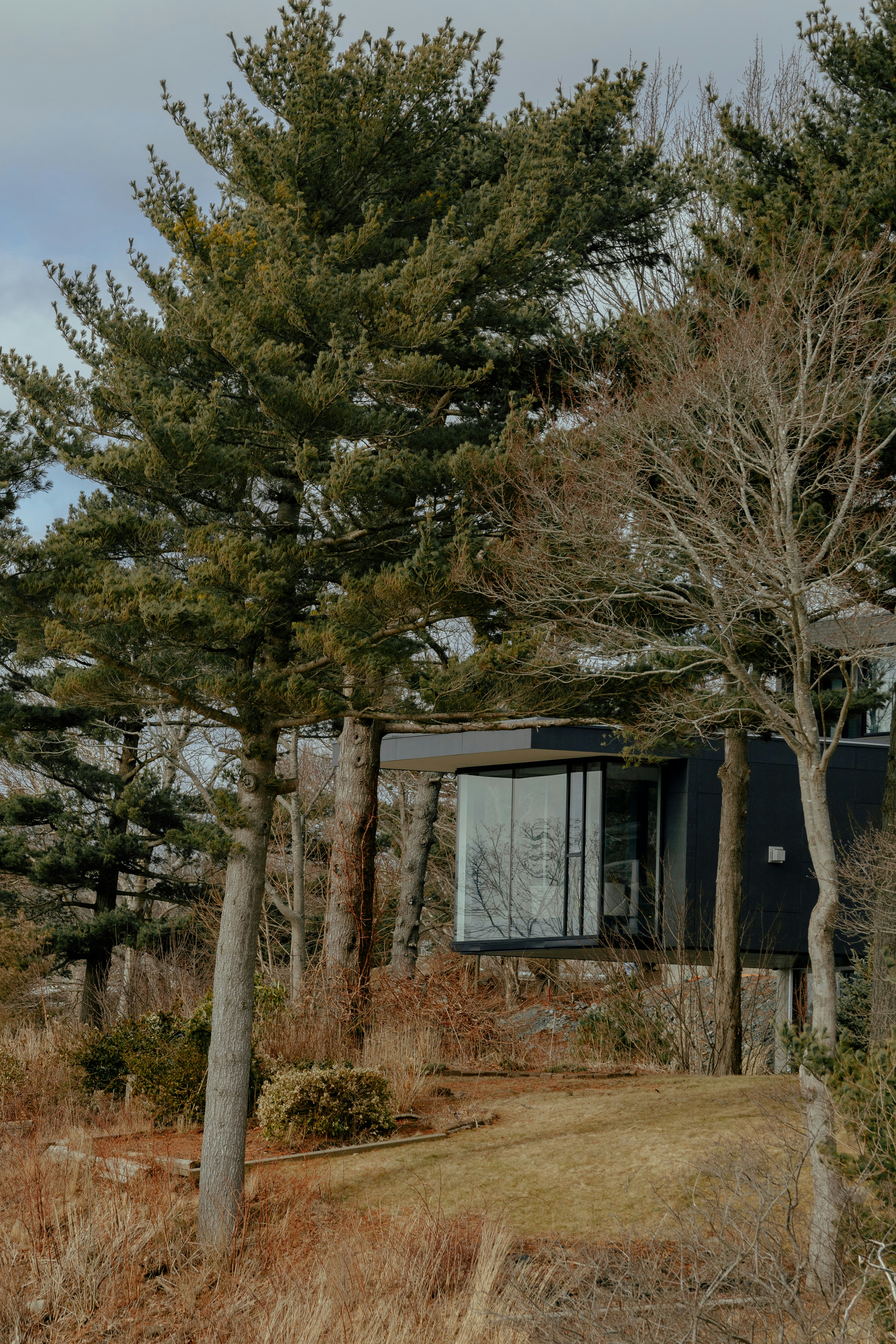 Photo by janwalterluigi