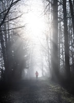 An athlete mid-stride running along a forest trail with mist weaving through the trees.