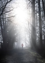 A person jogging on a forest path with sunlight filtering through trees.