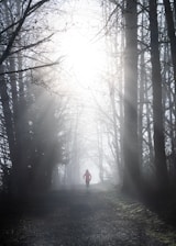A person running on a forest trail during sunrise, symbolizing energy and motivation.