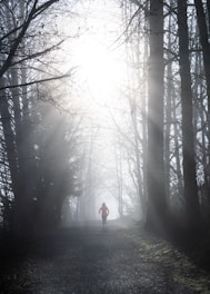 A peaceful outdoor scene showing a person running along a forest path at sunrise.