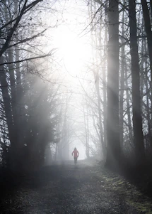 Runners crossing a lush forest trail with the Darjeeling hills shrouded in morning mist behind them