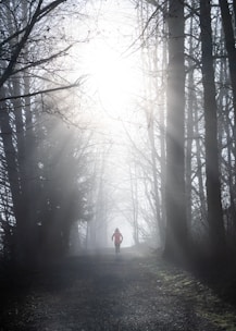 A person running on a forest trail during sunrise, symbolizing energy and motivation.