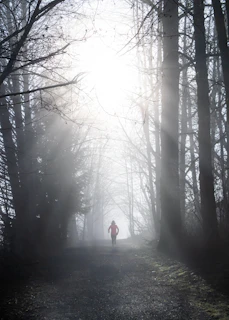 Coach leading a trail running session through a lush forest path at dawn