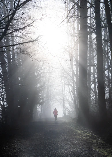 Runner crossing a misty forest trail at dawn, vibrant green trees surrounding the path