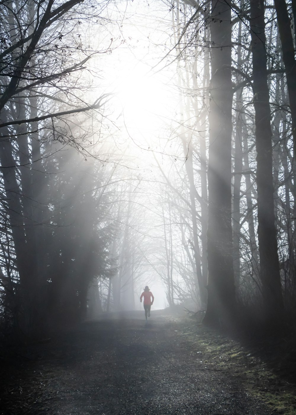 a person walking down a trail in the woods