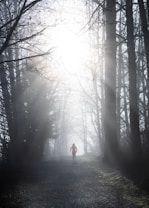 A person is running along a misty forest path with tall trees on either side. Sunlight filters through the branches, creating an ethereal atmosphere with beams of light cutting through the fog.