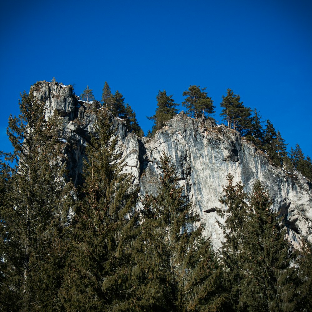 Blick auf den Gipfel eines Berges mit Bäumen darunter