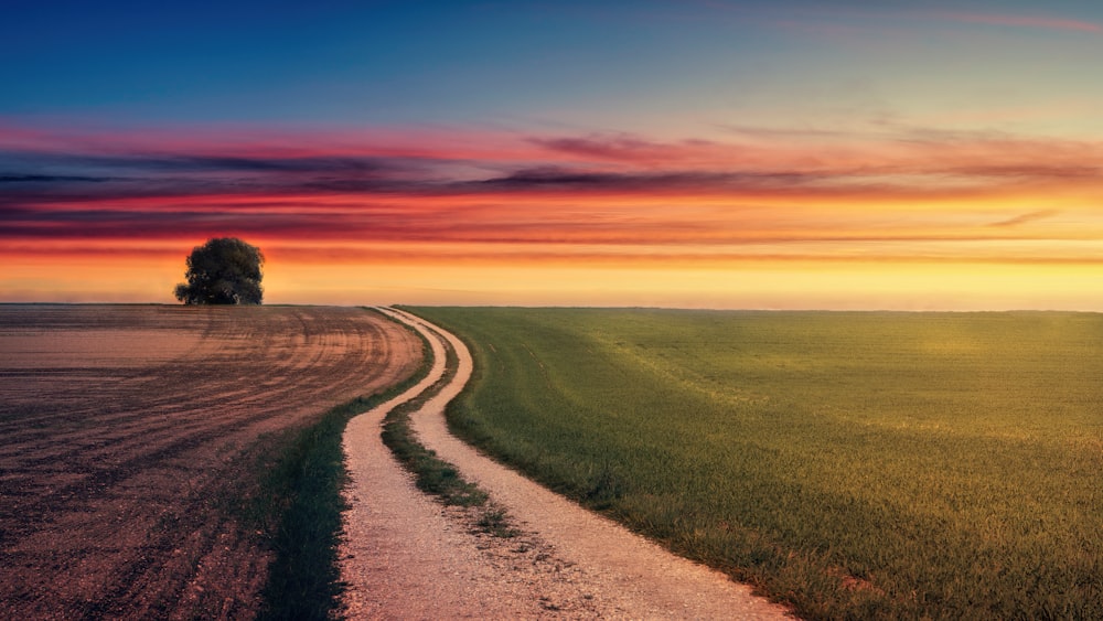 a dirt road running through a green field