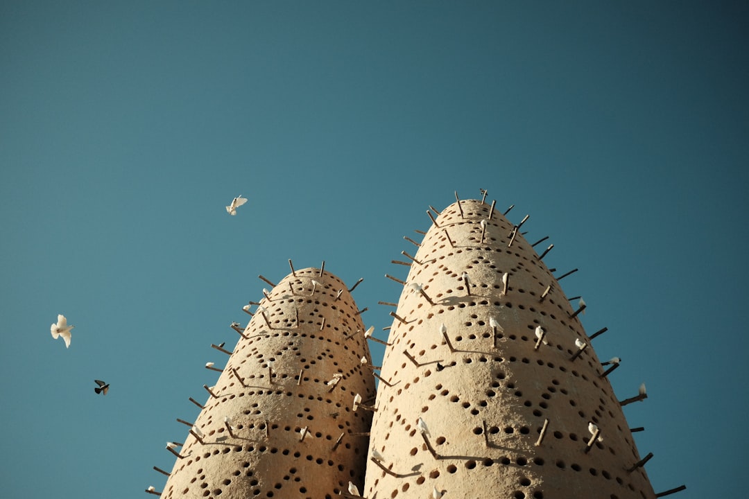 Pigeon Towers - Qatar