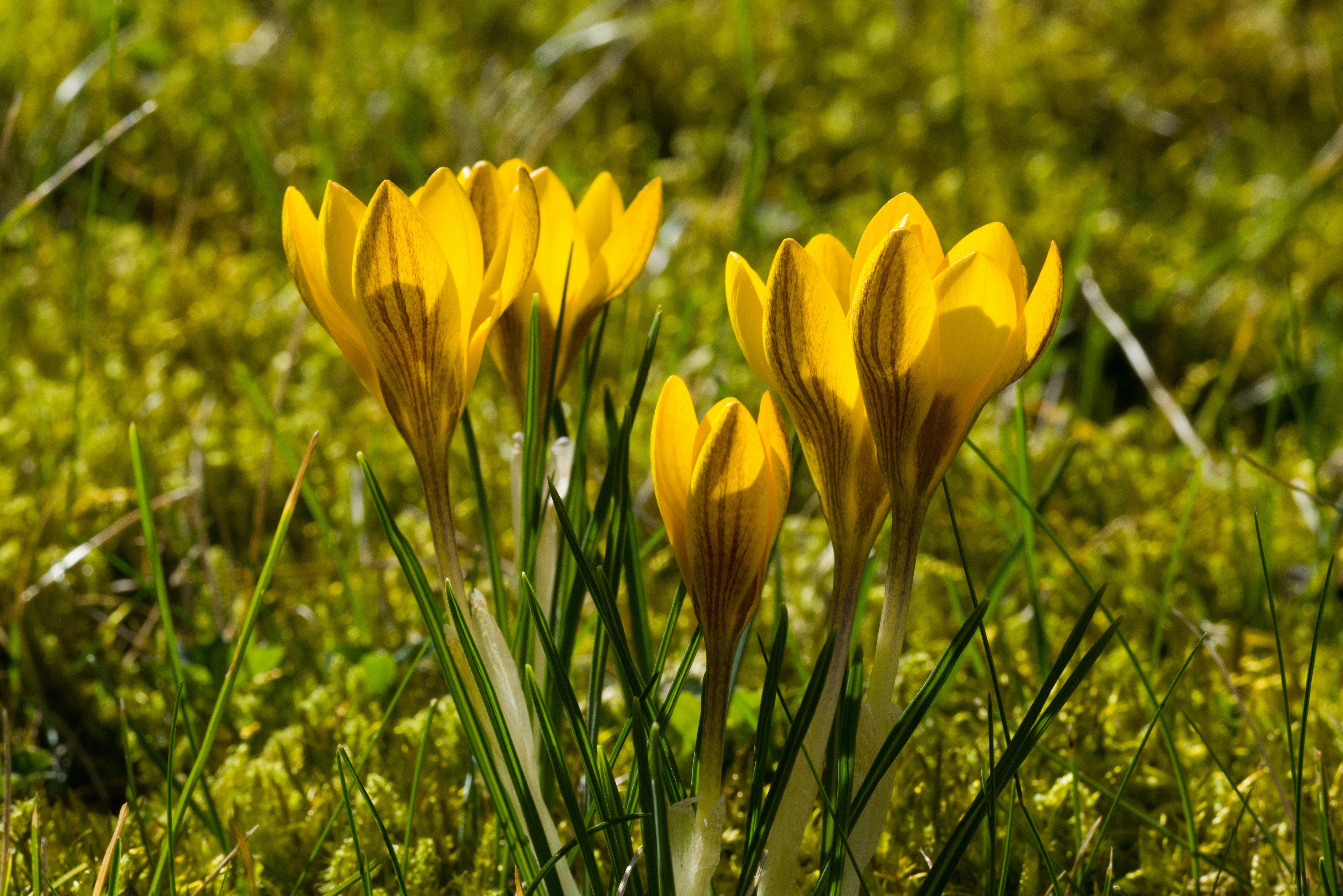 Photo by georgeiermann