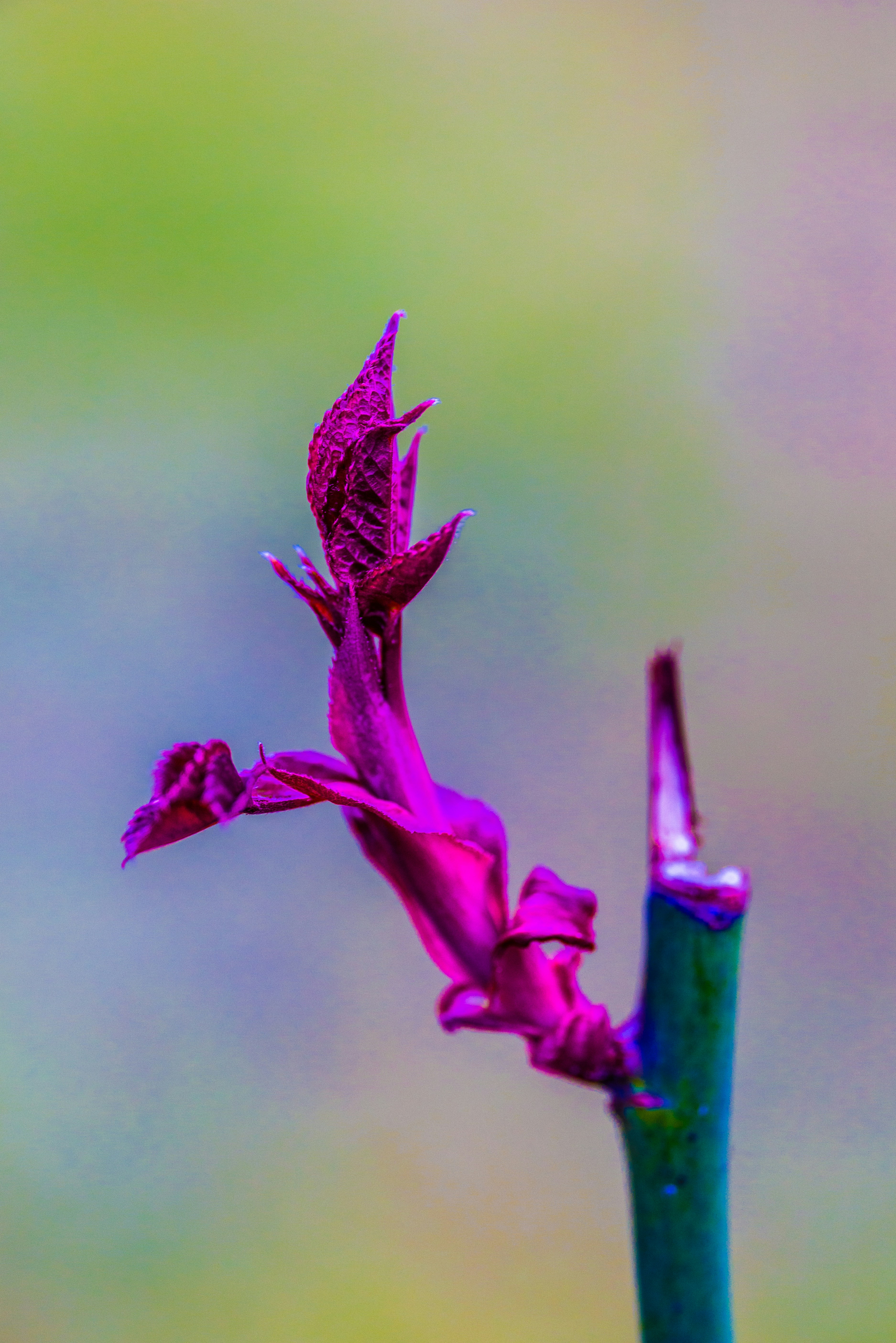 Photo by georgeiermann