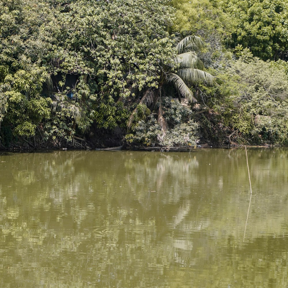 a boat floating on top of a lake surrounded by trees