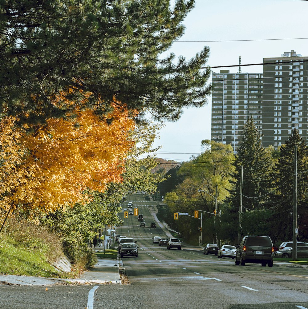 a city street with cars driving down it