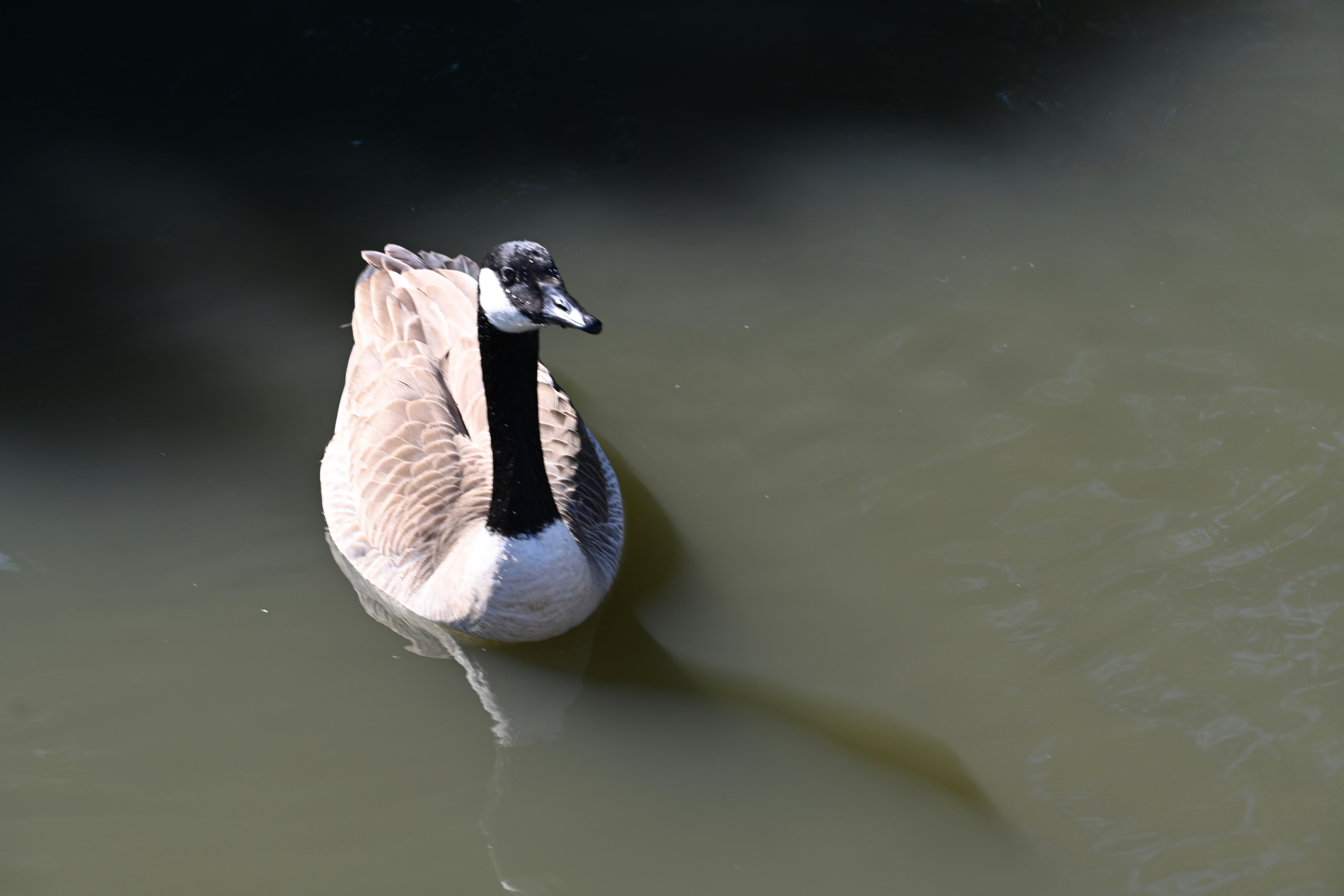 Photo by theunknownaldiaz