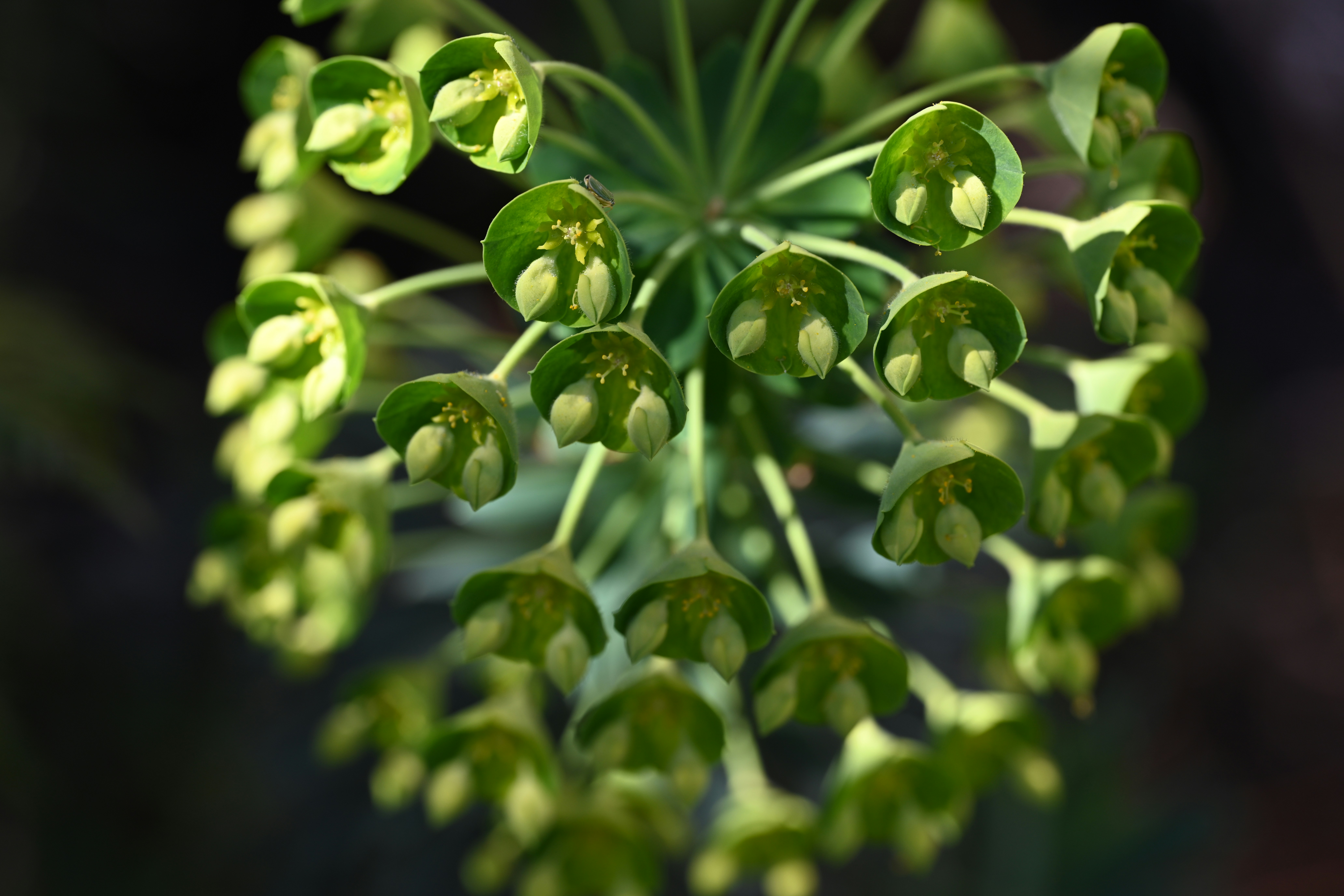 Photo by theunknownaldiaz