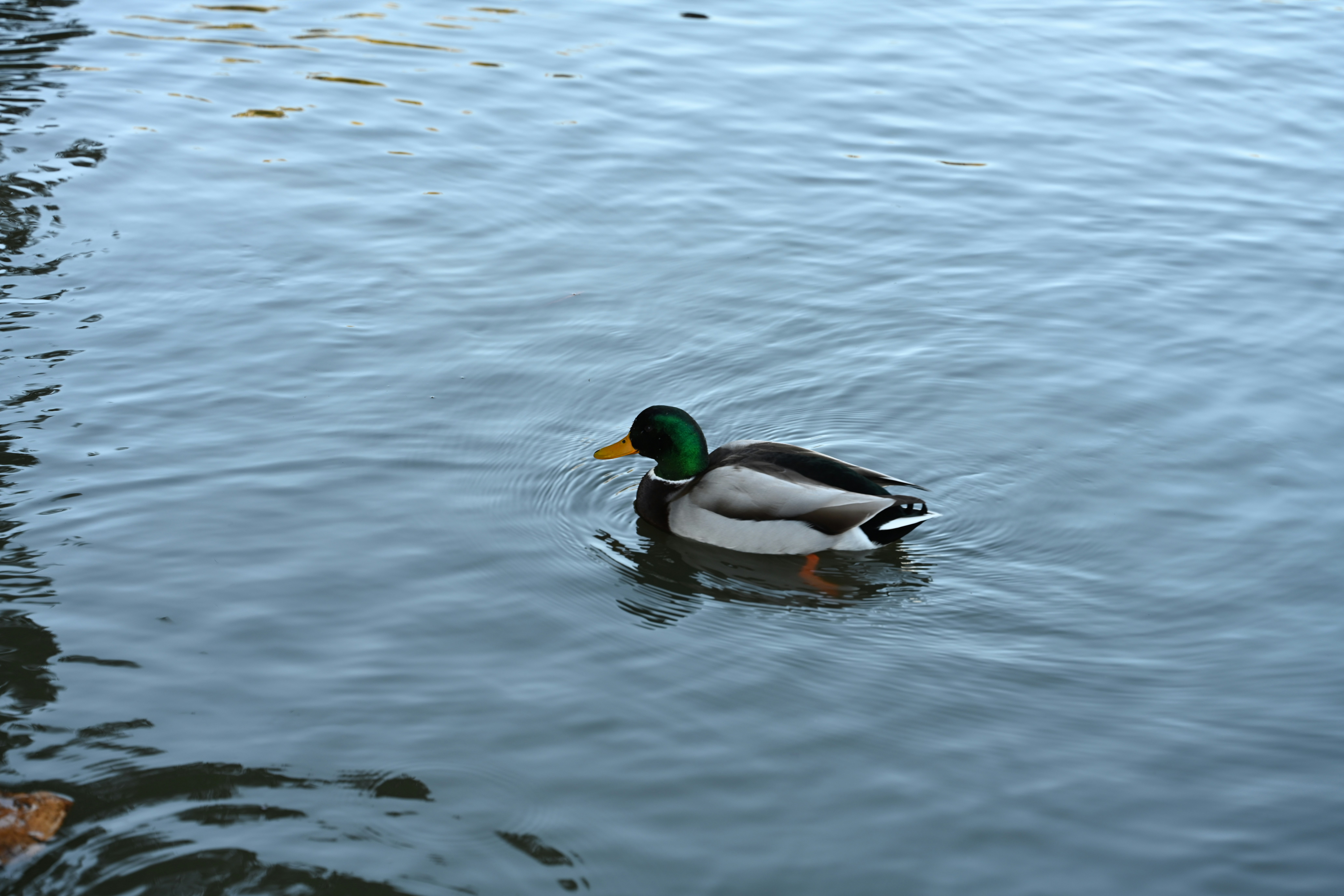 Photo by theunknownaldiaz