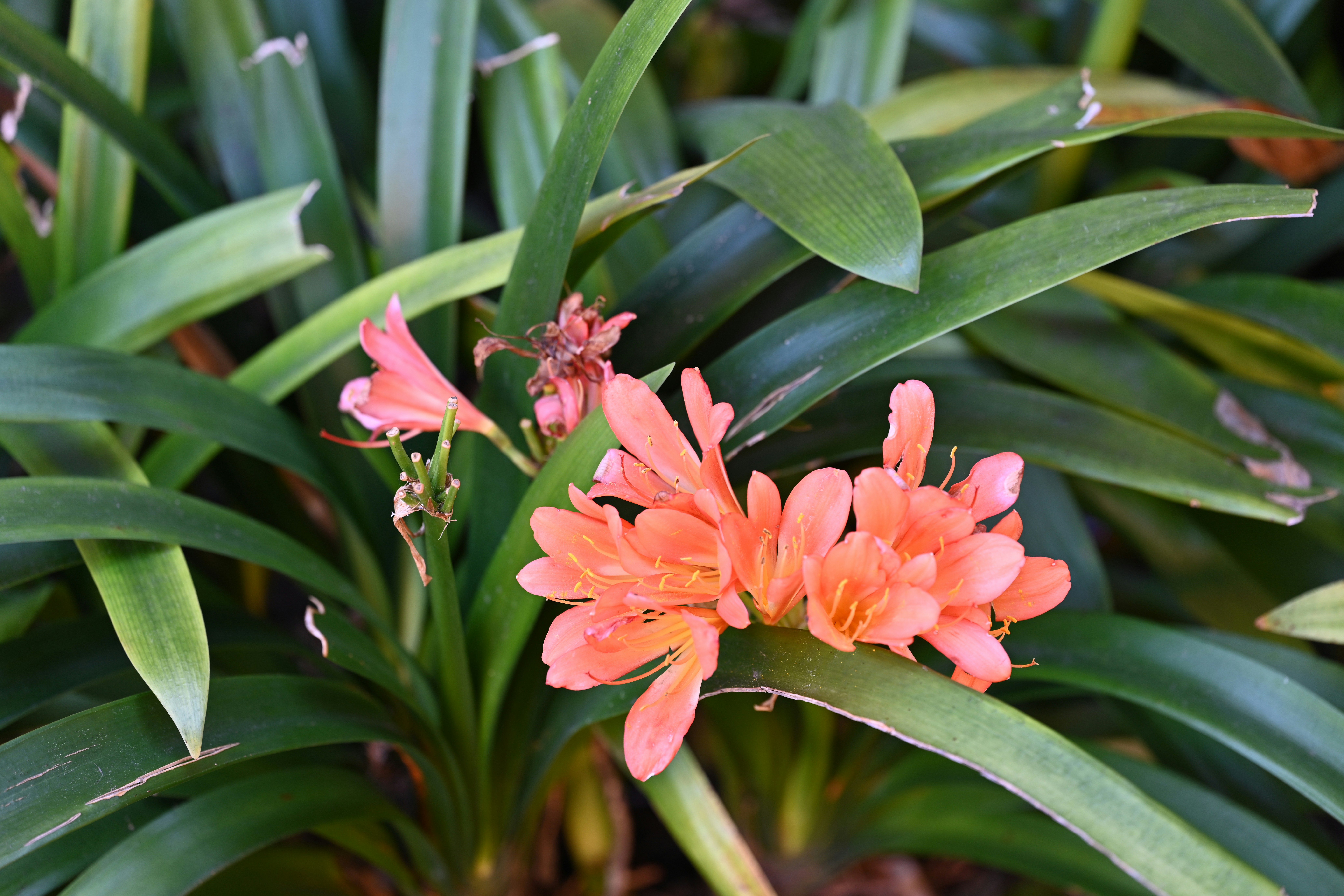 Photo by theunknownaldiaz