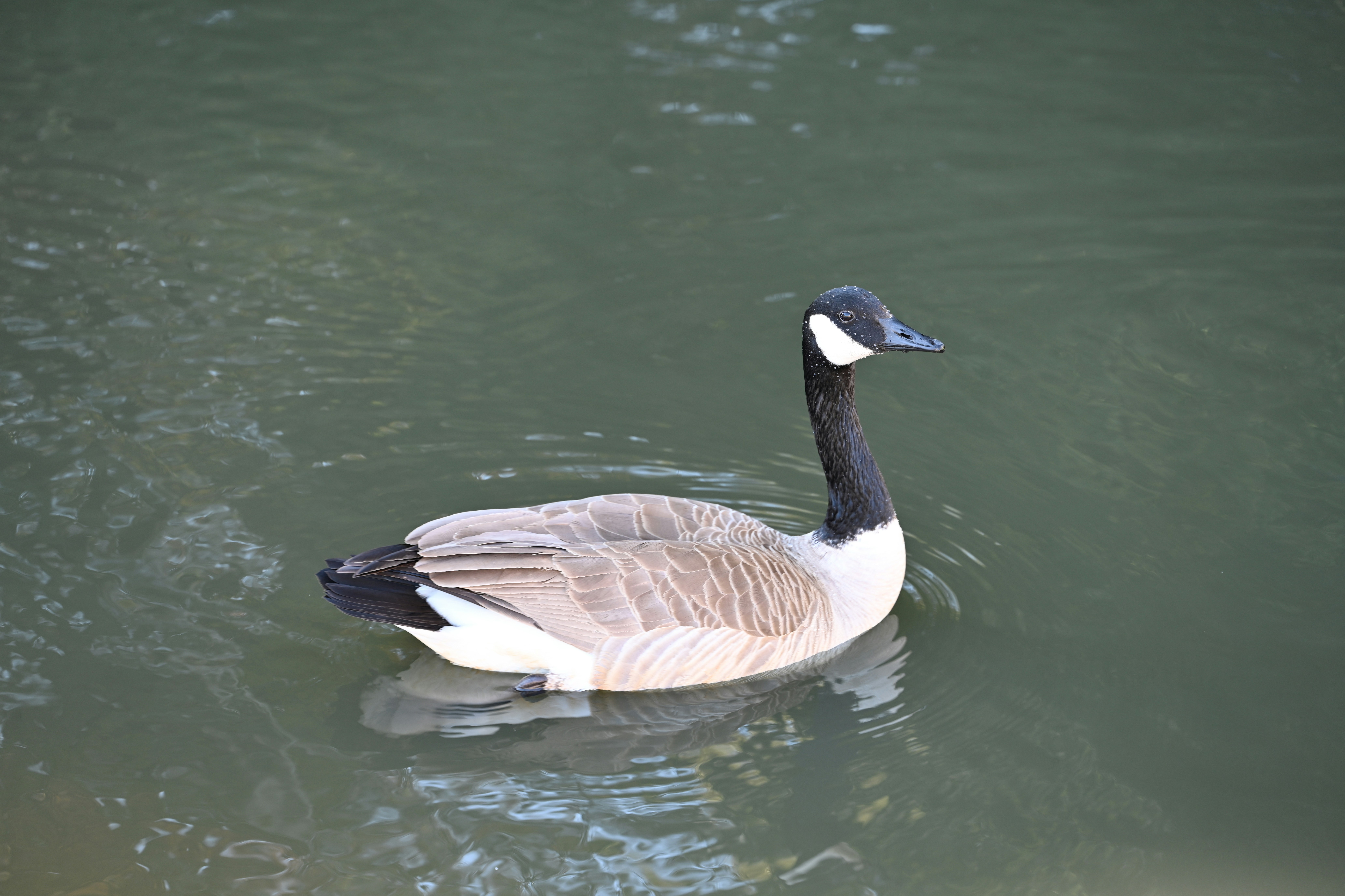 Photo by theunknownaldiaz