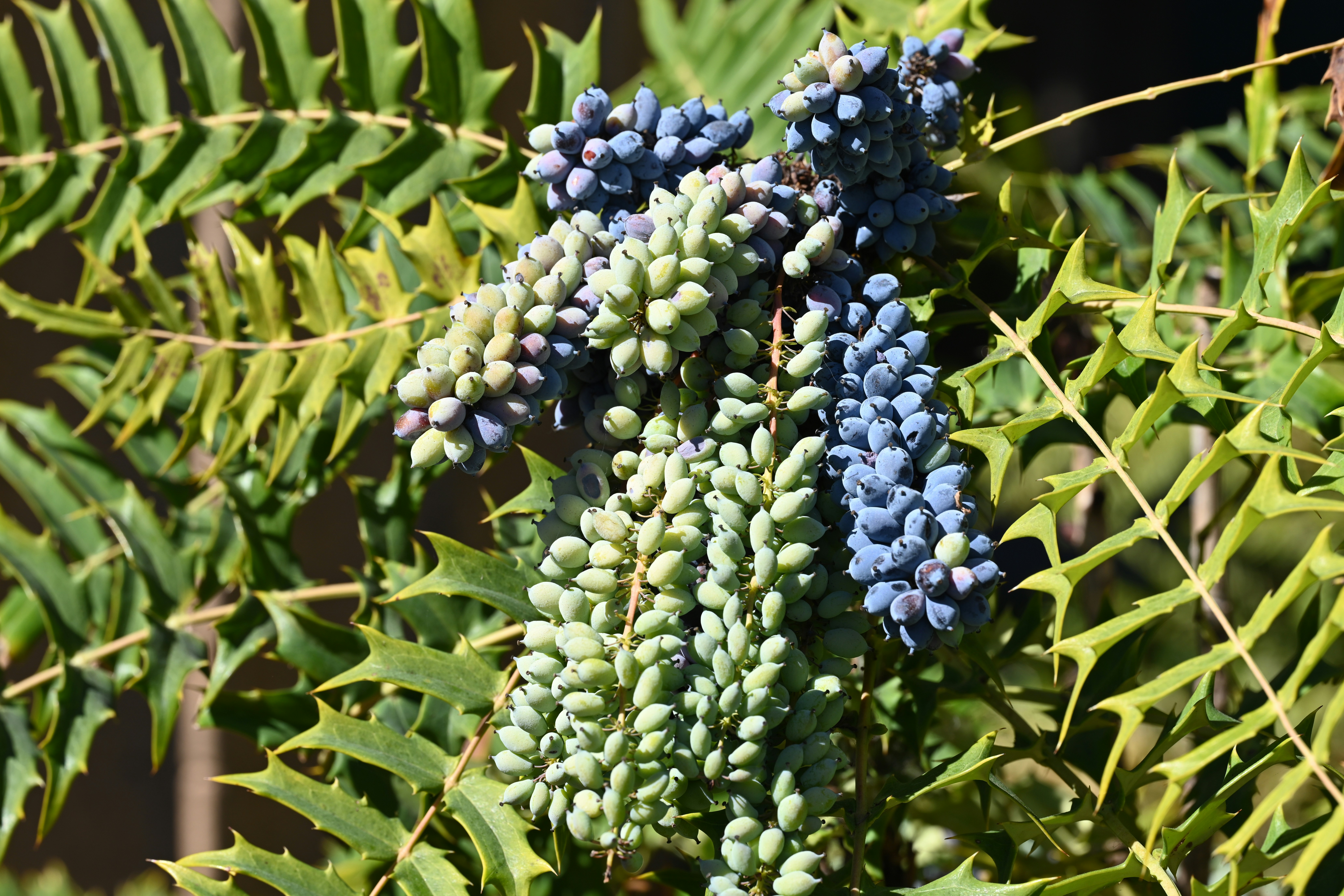 Photo by theunknownaldiaz