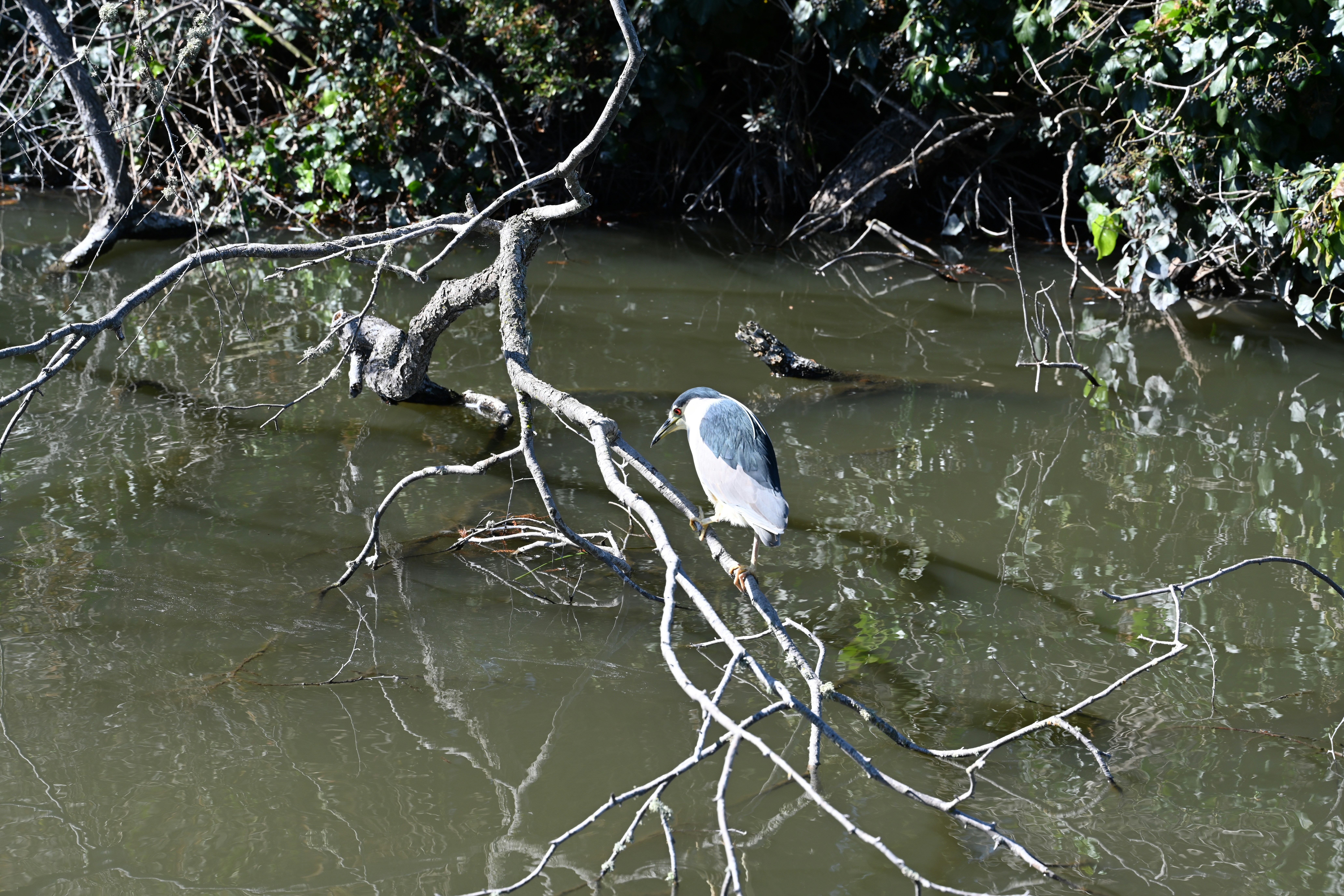 Photo by theunknownaldiaz