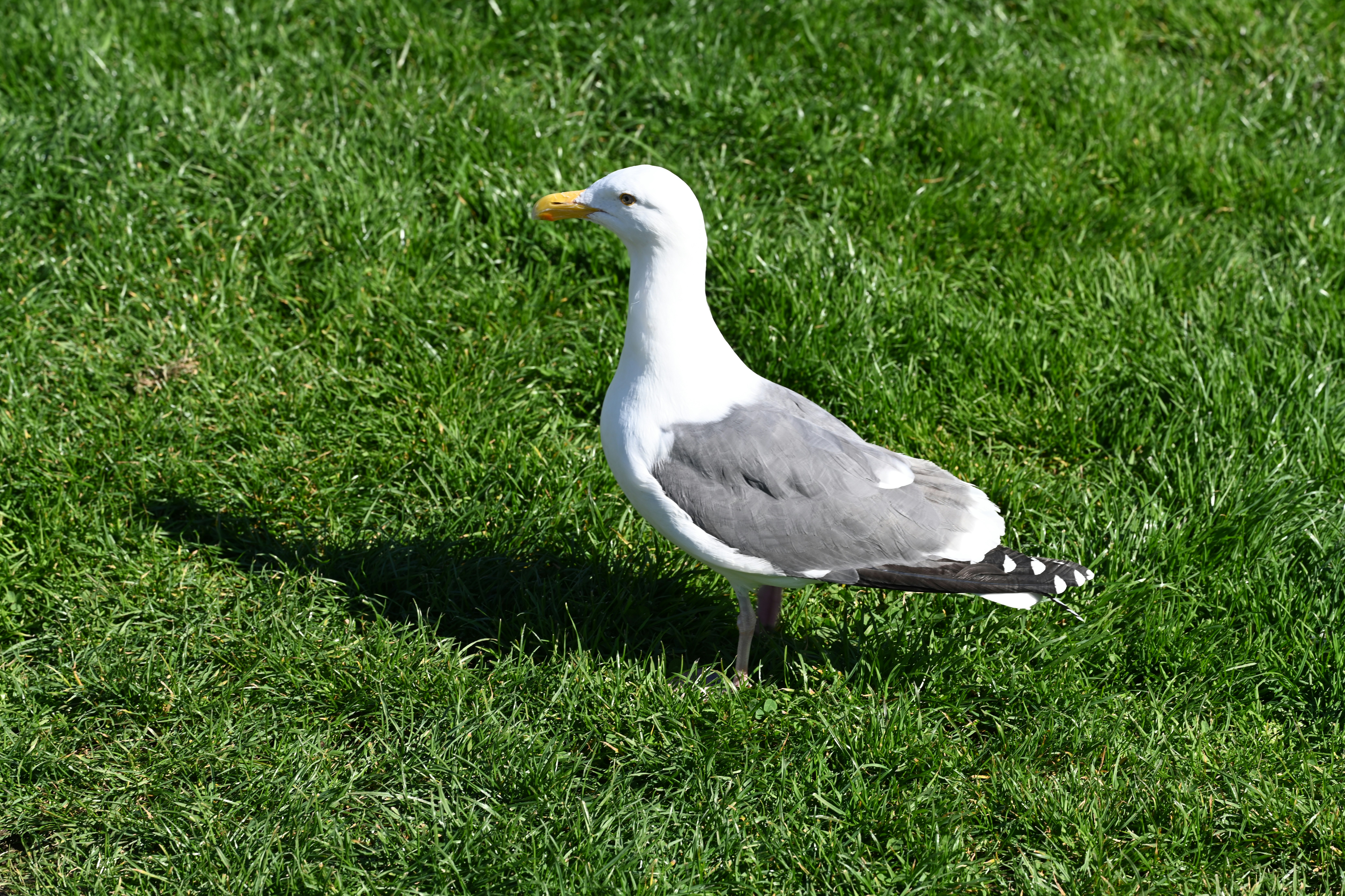 Photo by theunknownaldiaz