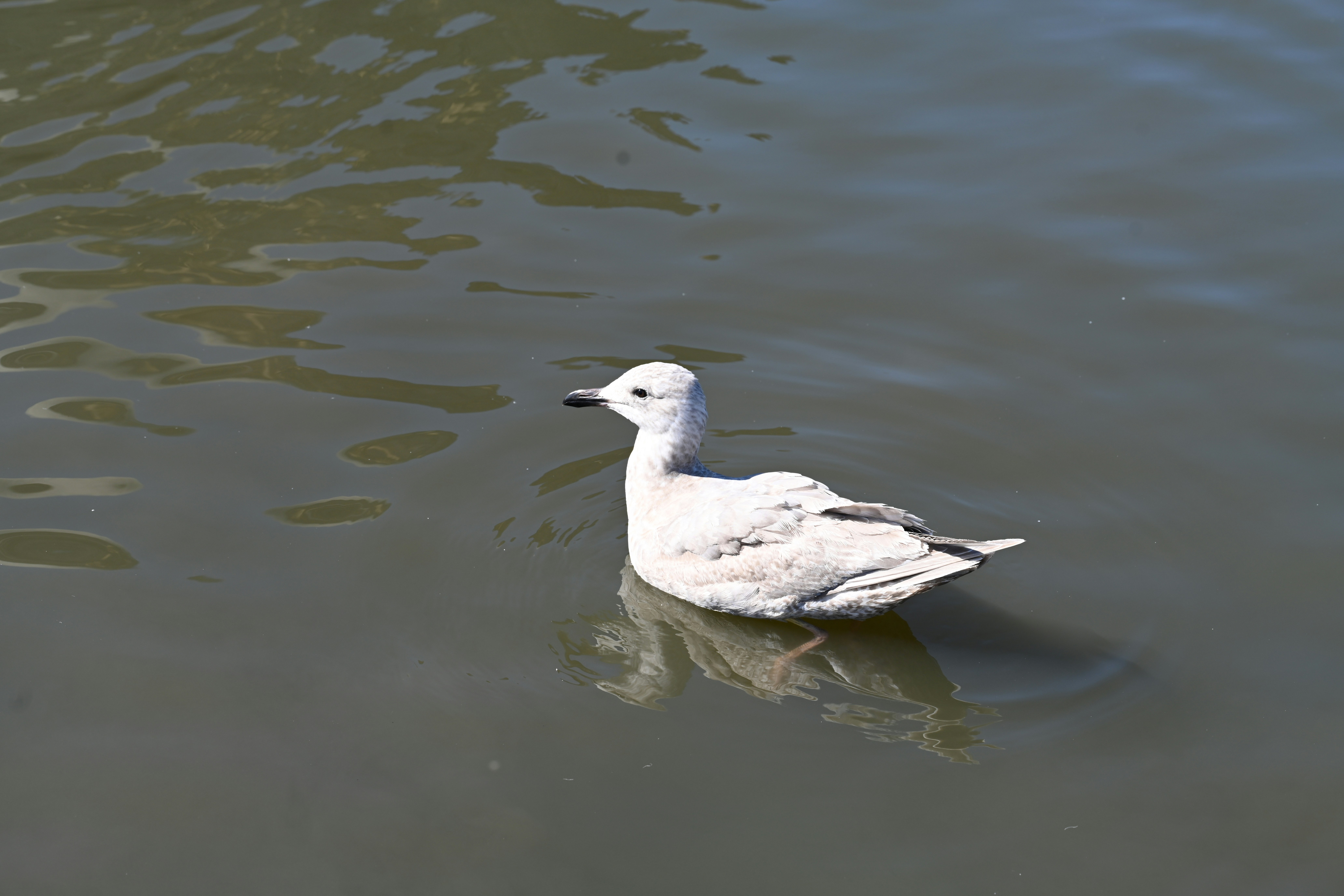 Photo by theunknownaldiaz