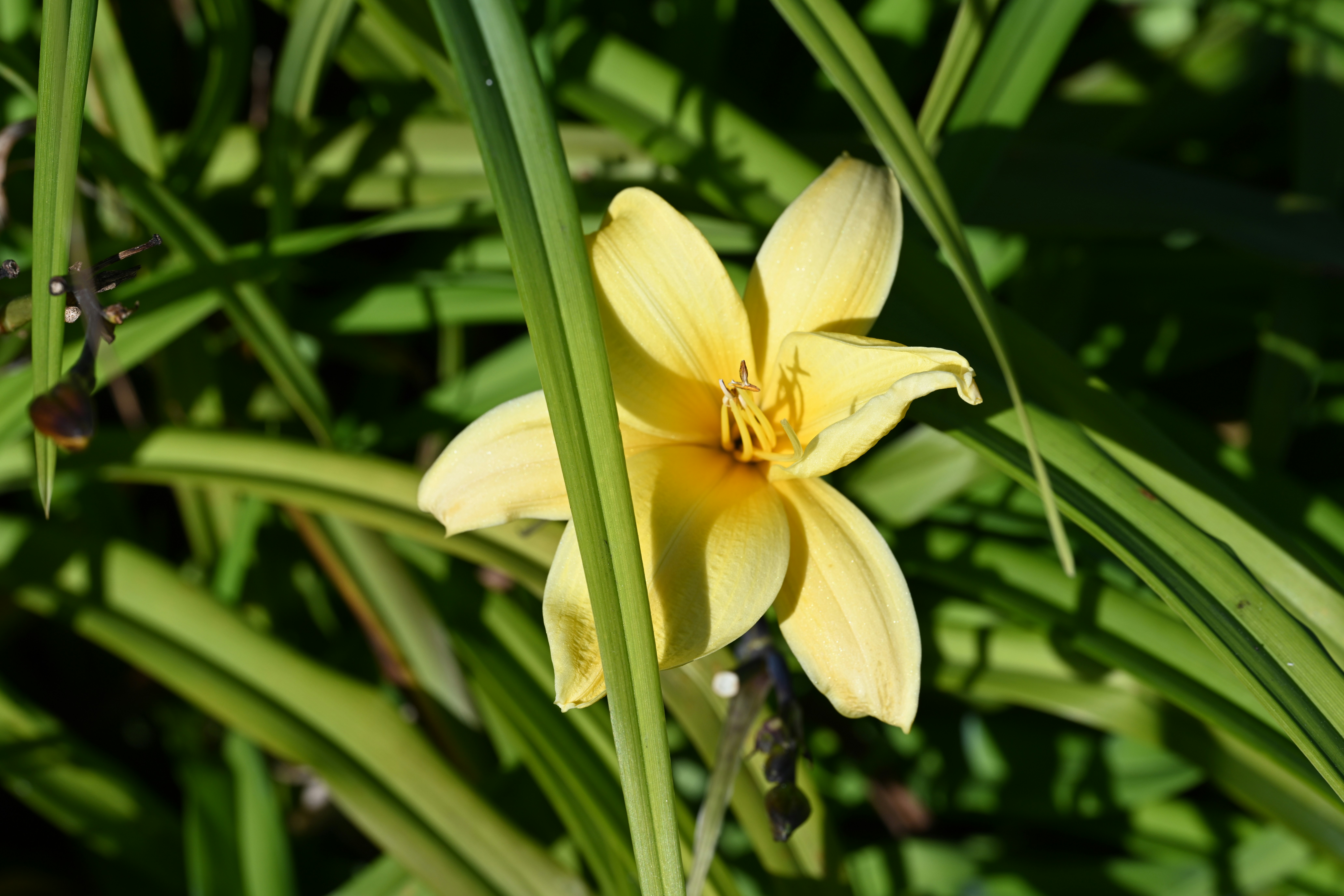 Photo by theunknownaldiaz