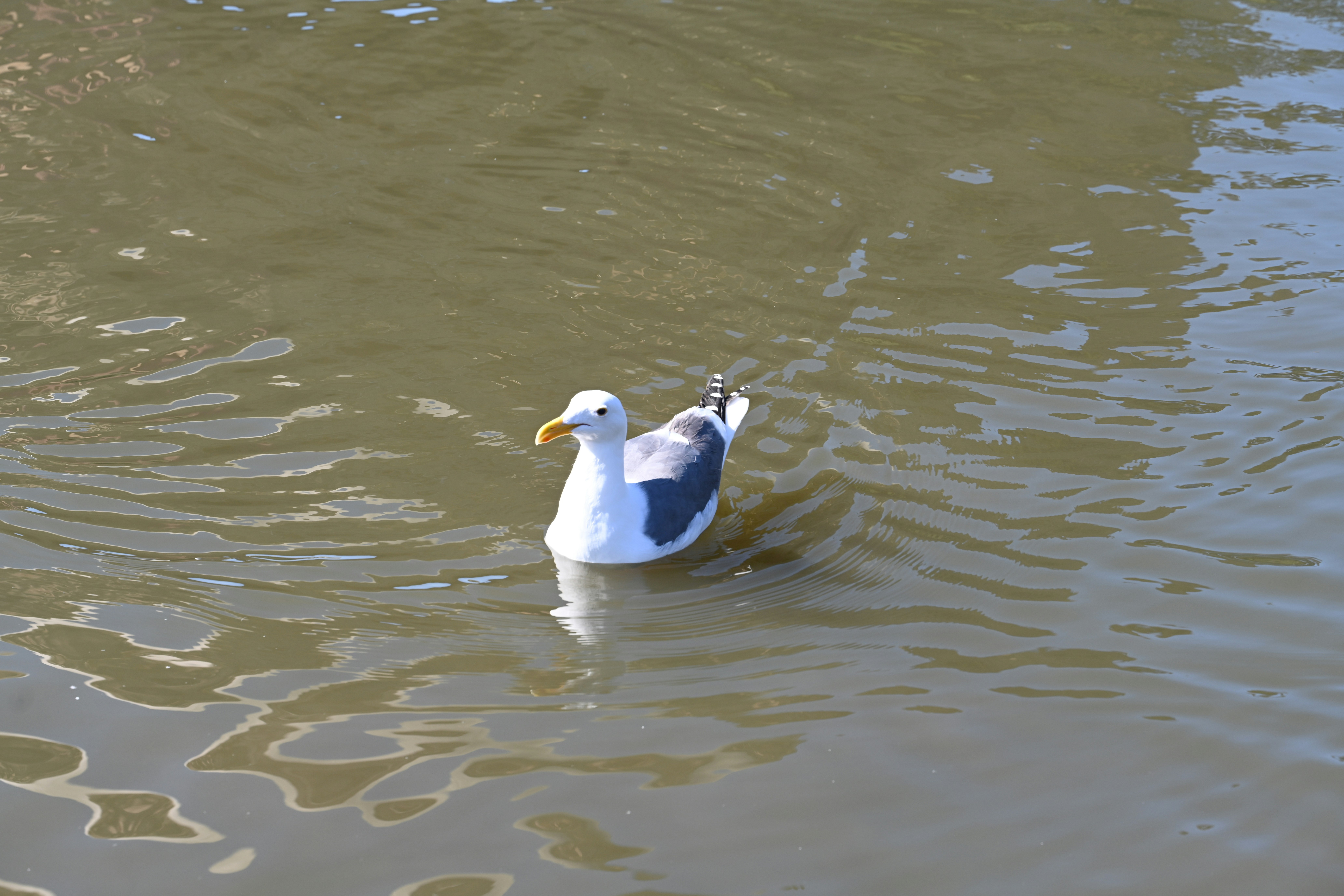 Photo by theunknownaldiaz