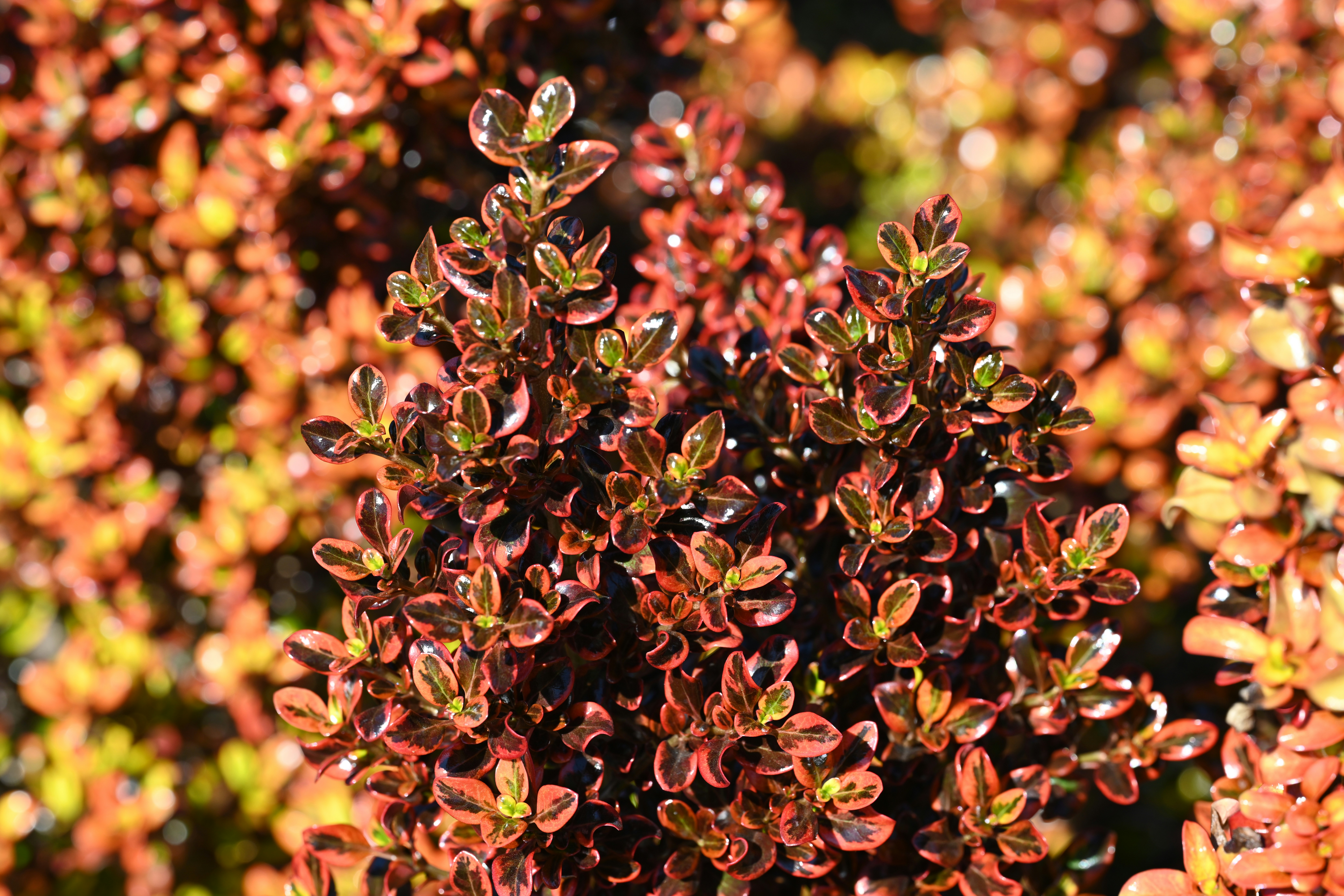 Photo by theunknownaldiaz