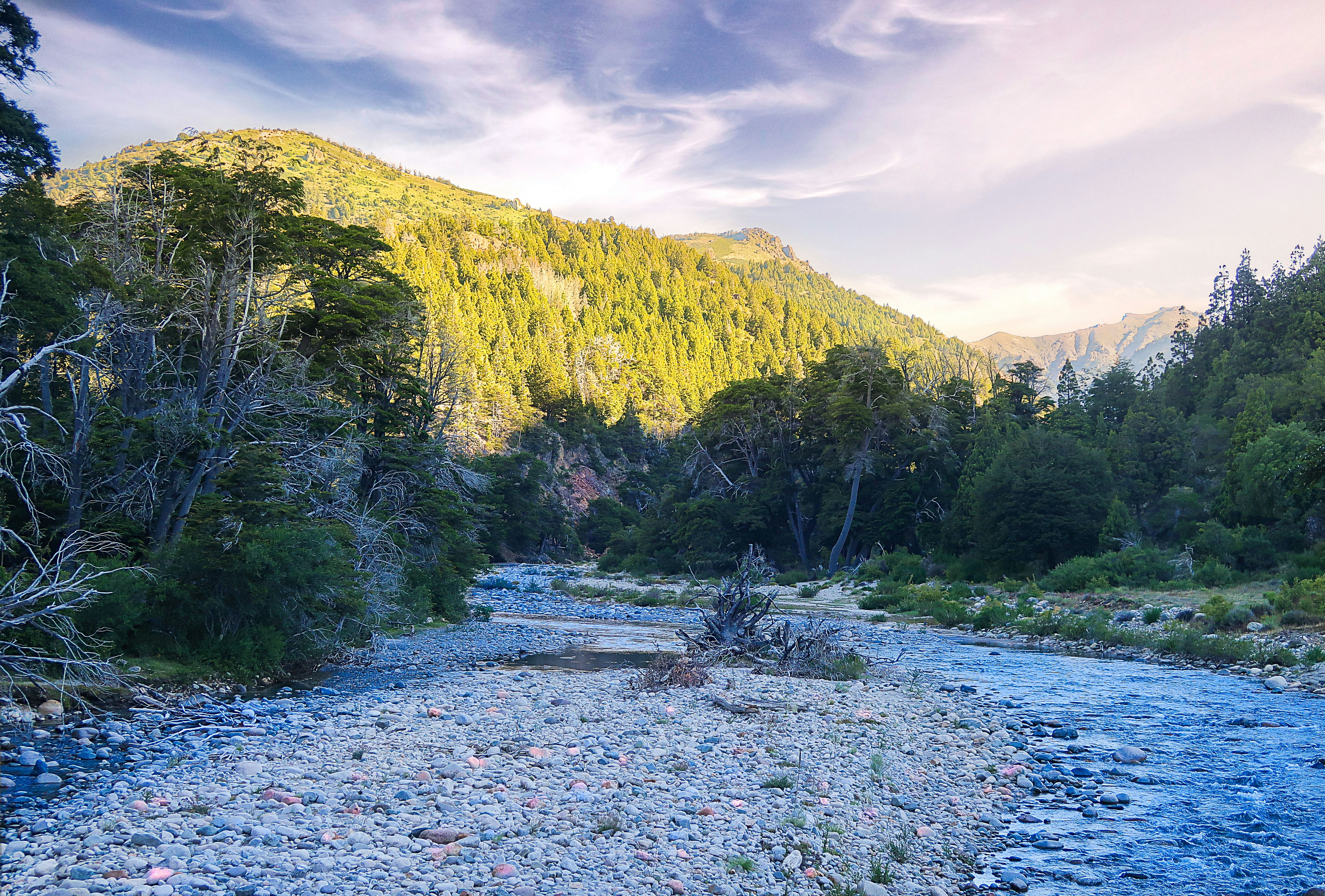 Photo by argentinanatural