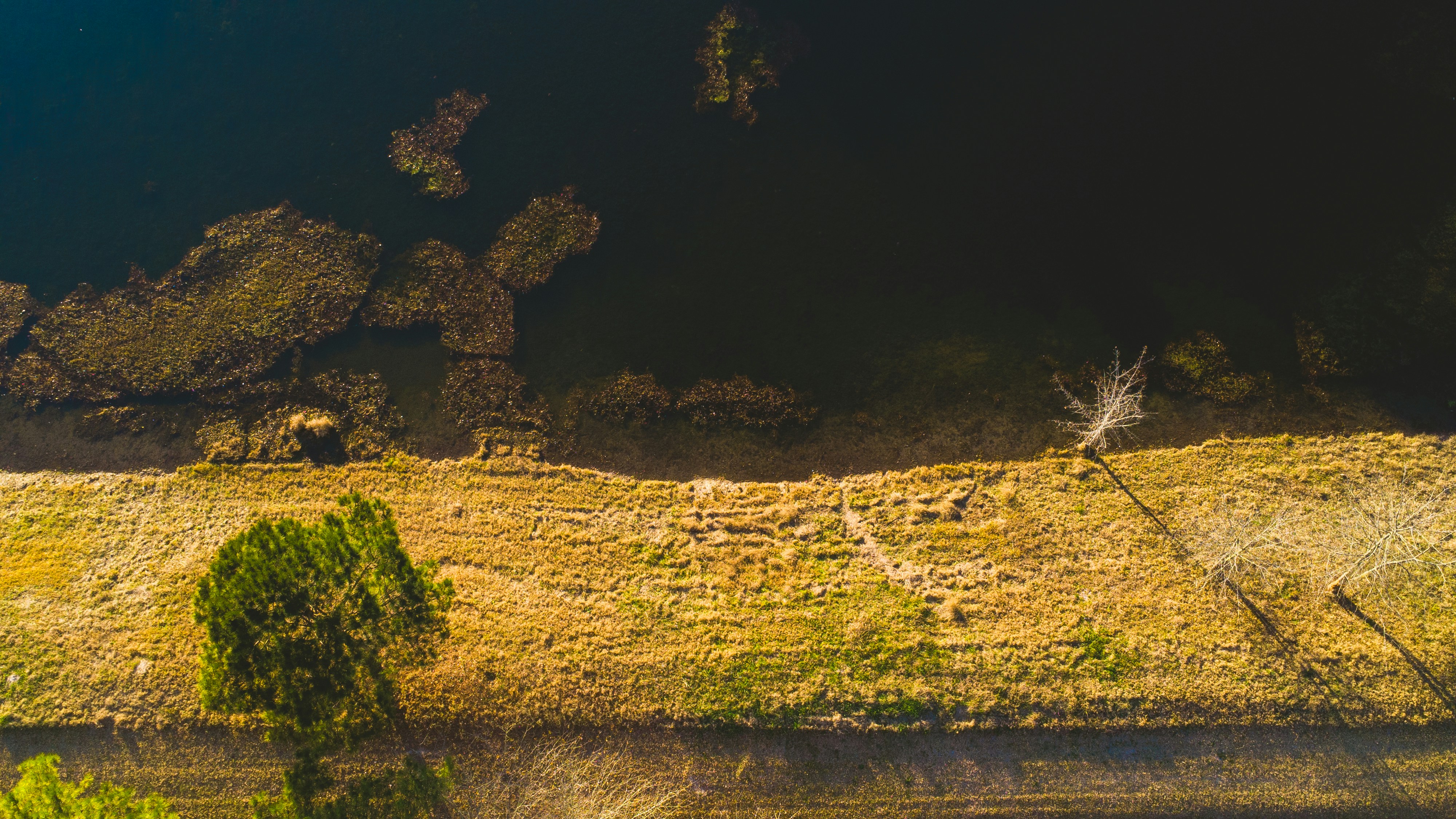 Photo by photographyofchurro