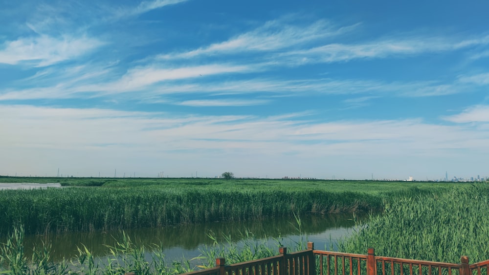 a wooden deck overlooks a marshy river