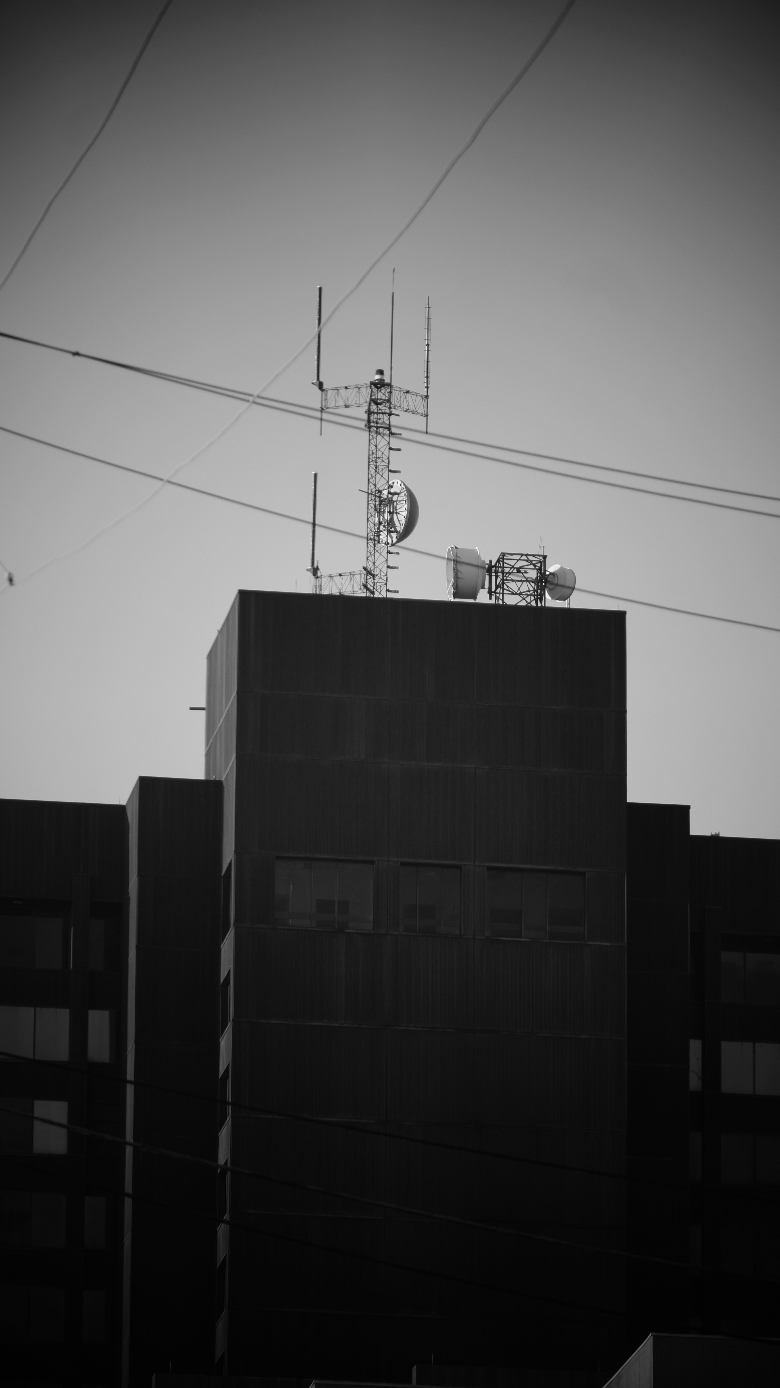 Photo by mrgreatheart