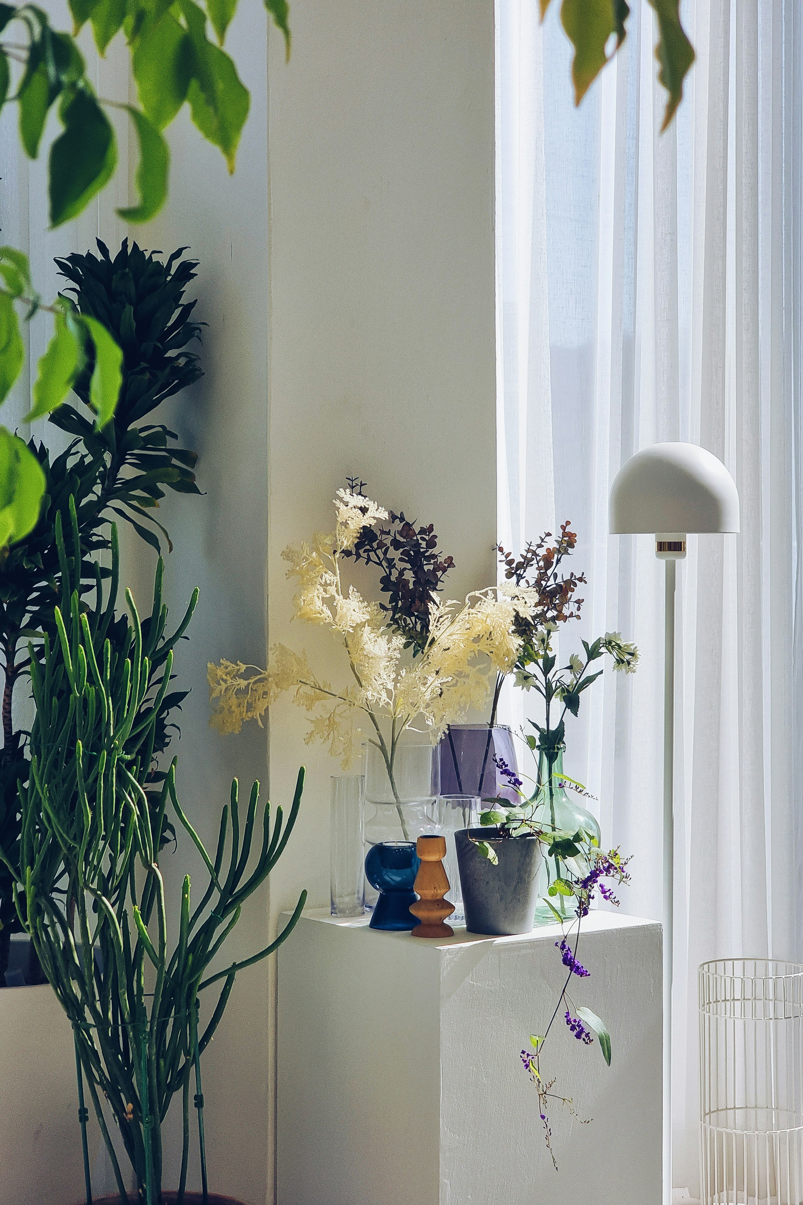 Photo by greysongrowth