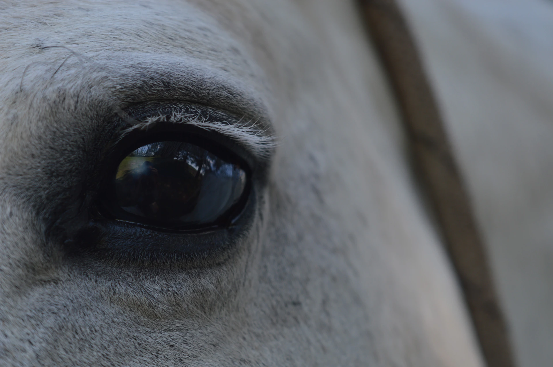 woman wearing yellow long-sleeved dress under white clouds and blue sky during daytime