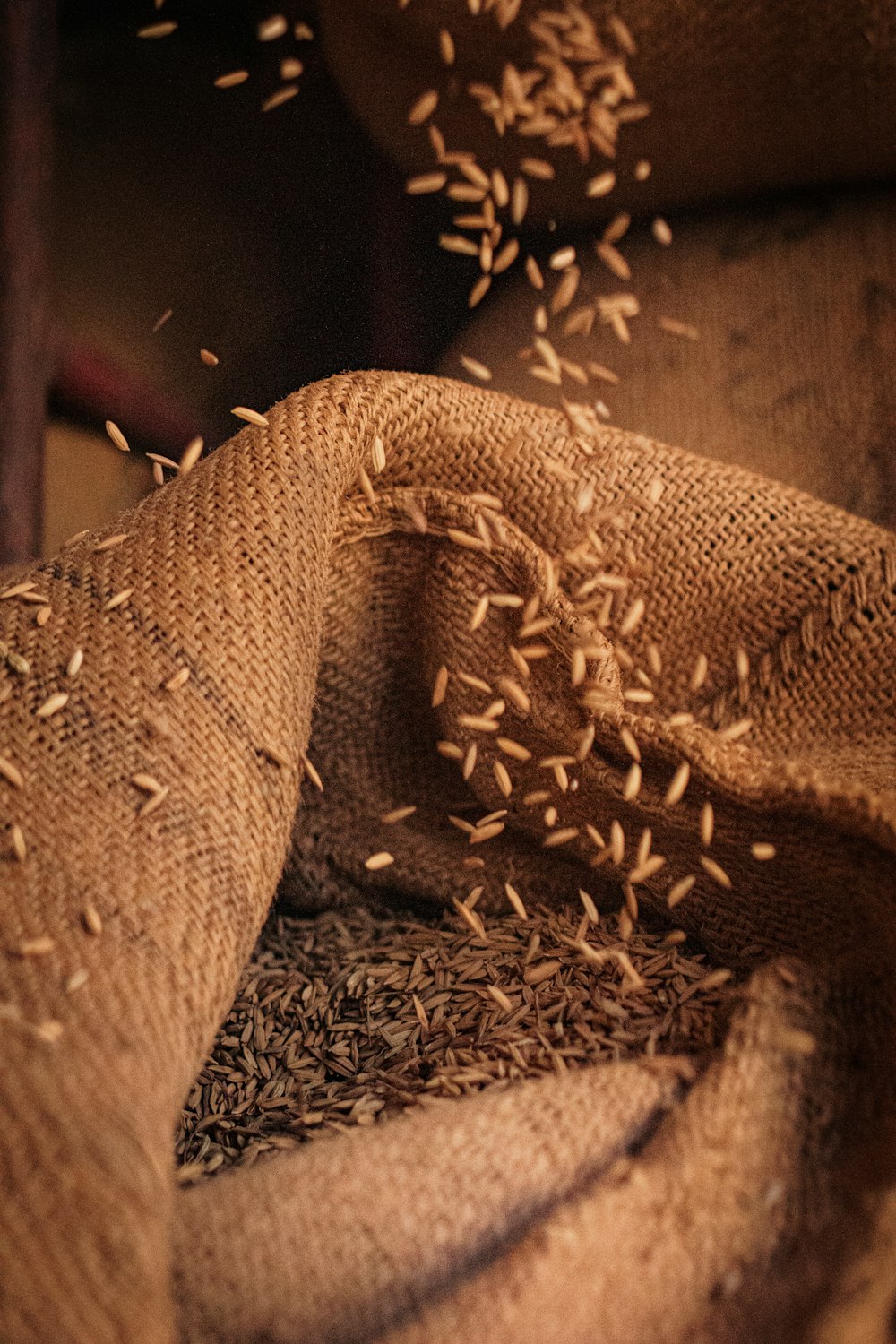 a sack full of seeds sitting on top of a table