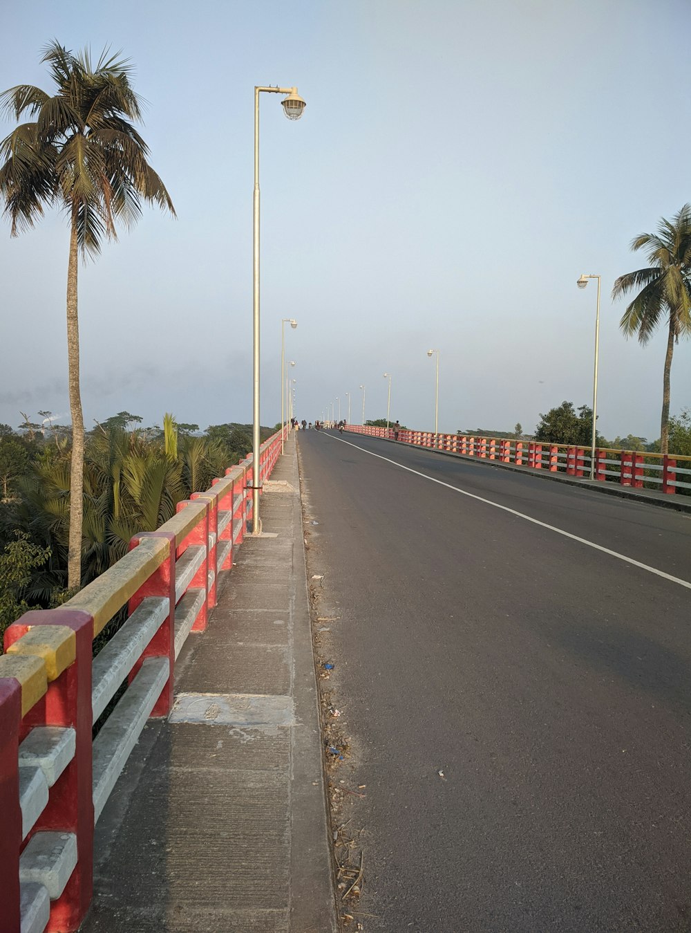 a road with a red fence and palm trees