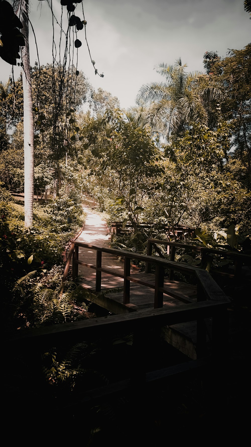 a wooden bridge in the middle of a forest