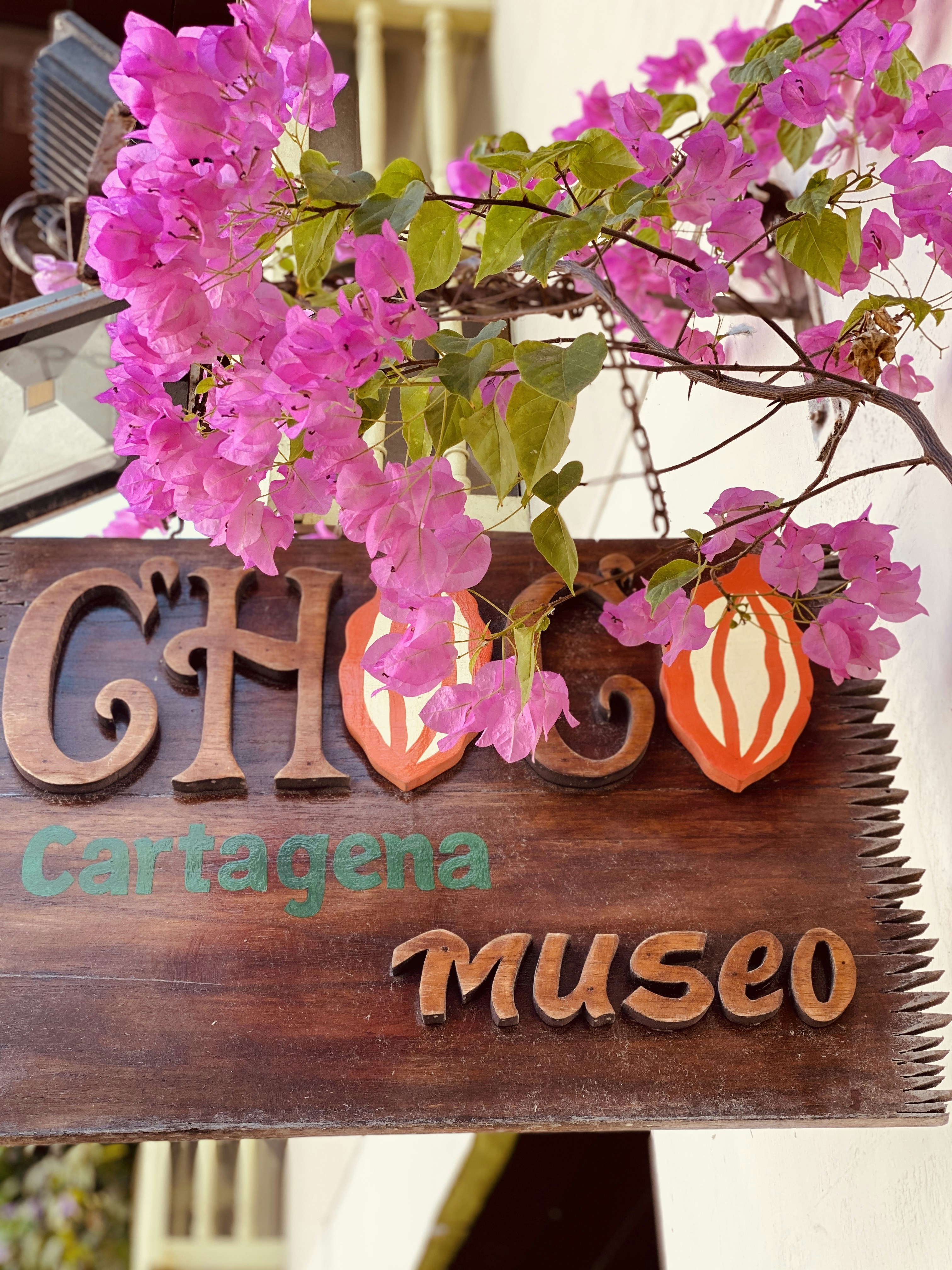 Colonial Splendor: Exploring the Historic Walled City