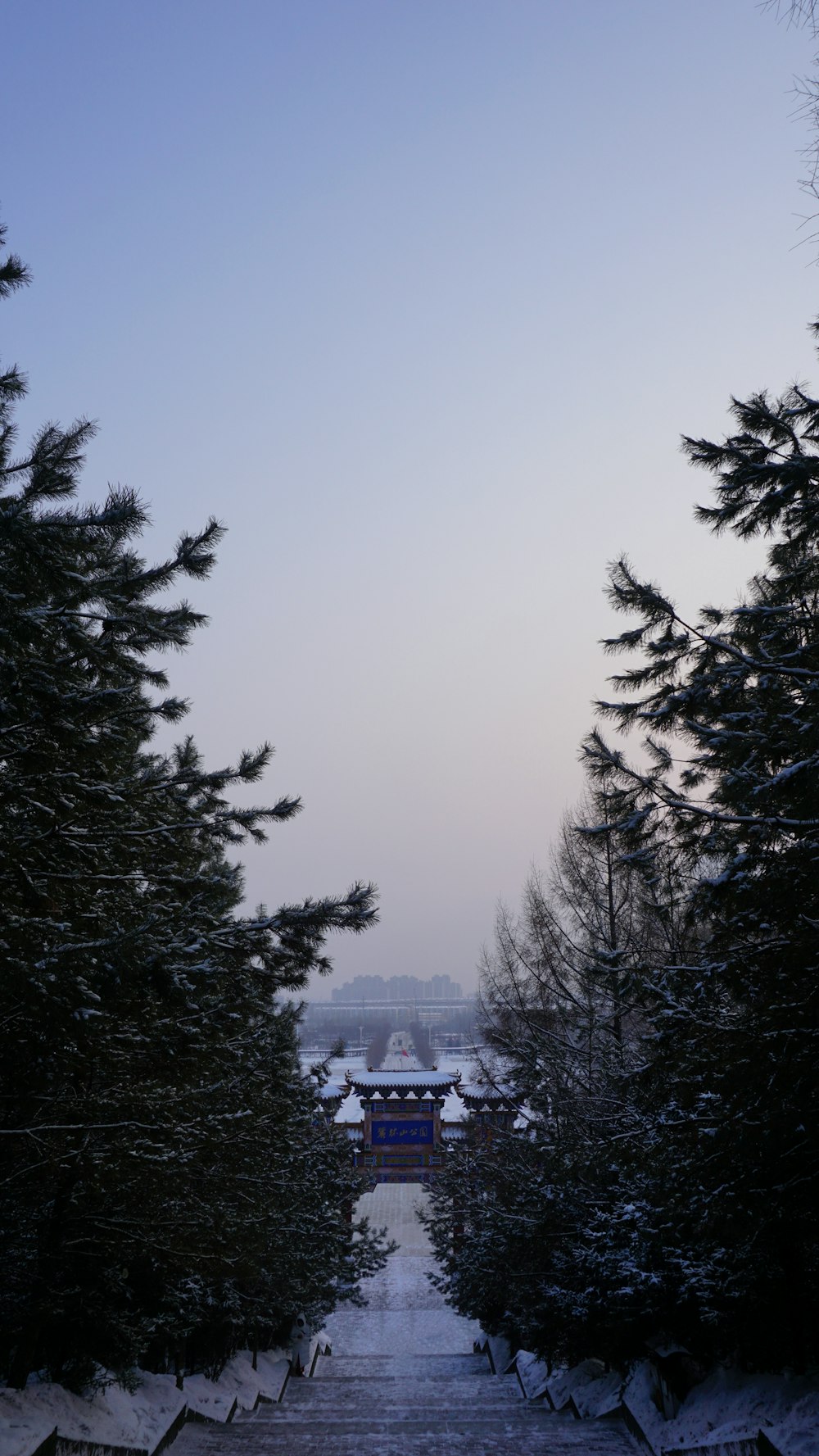 a snowy path leading to a building in the distance